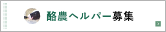 酪農ヘルパー募集