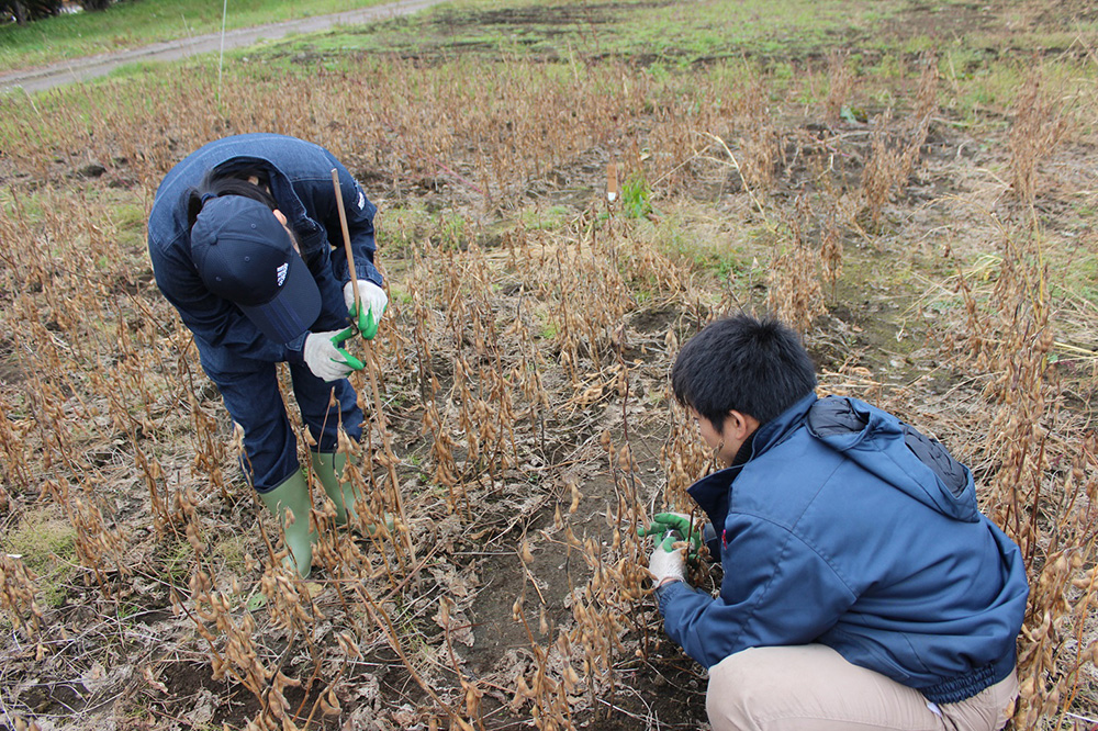 2020年 農産部 農産化学研究所